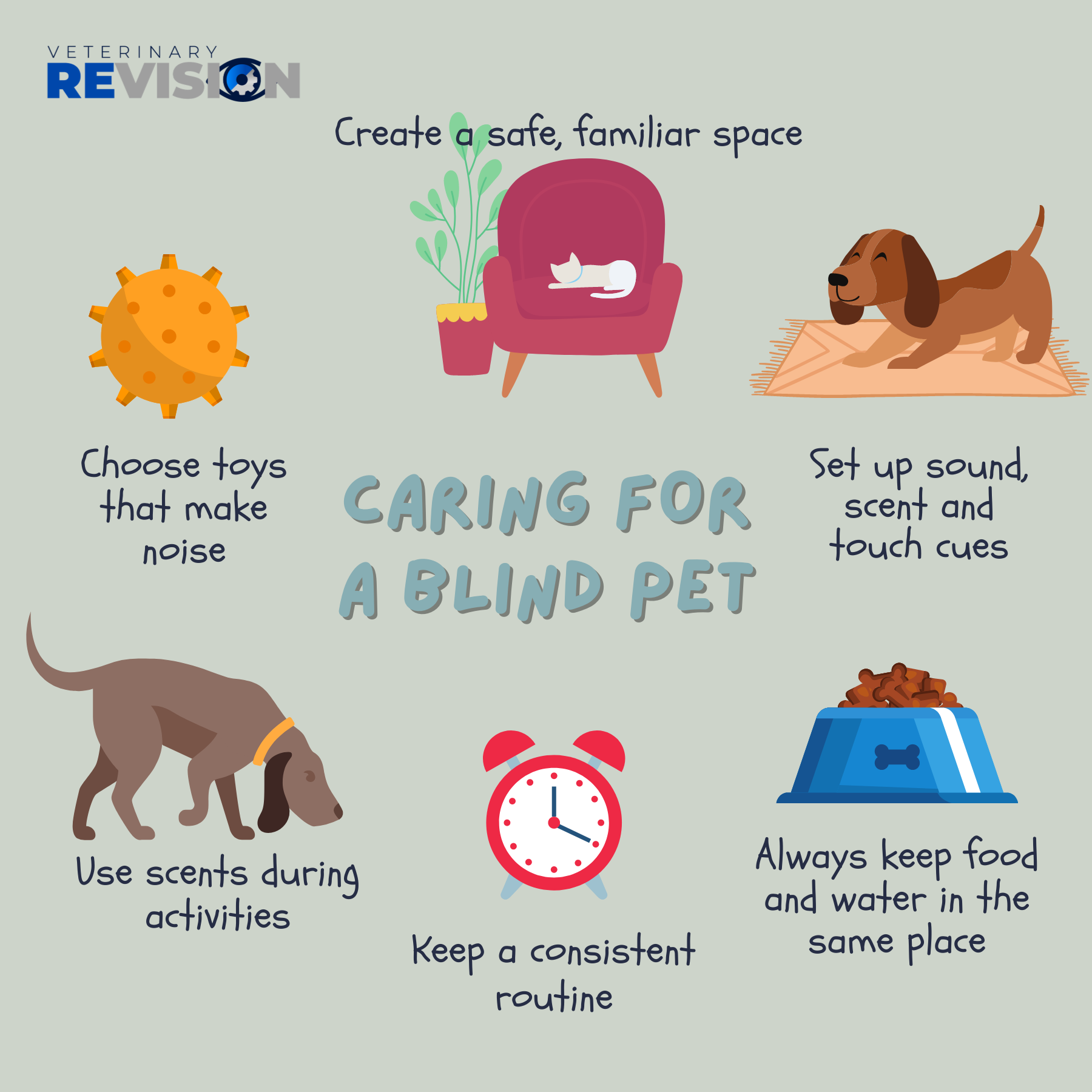 Caring for A Blind Dog  Pet Better with Pet Circle