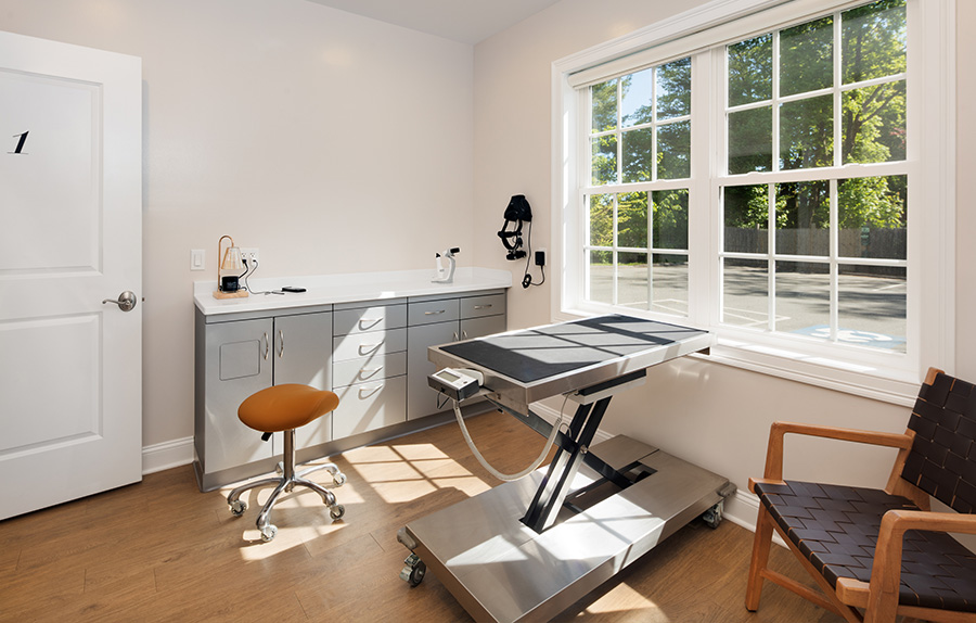 Modern veterinary clinic examination table. Modern veterinary clinic examination table.